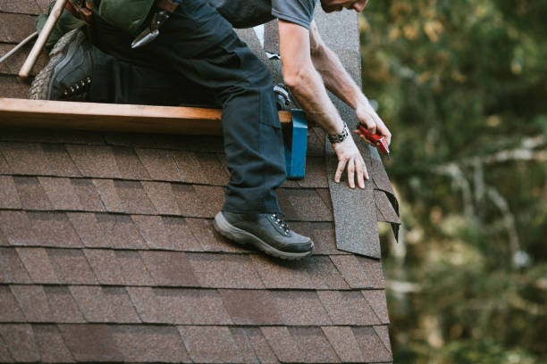 Best Roof Waterproofing Services  in Renovo, PA